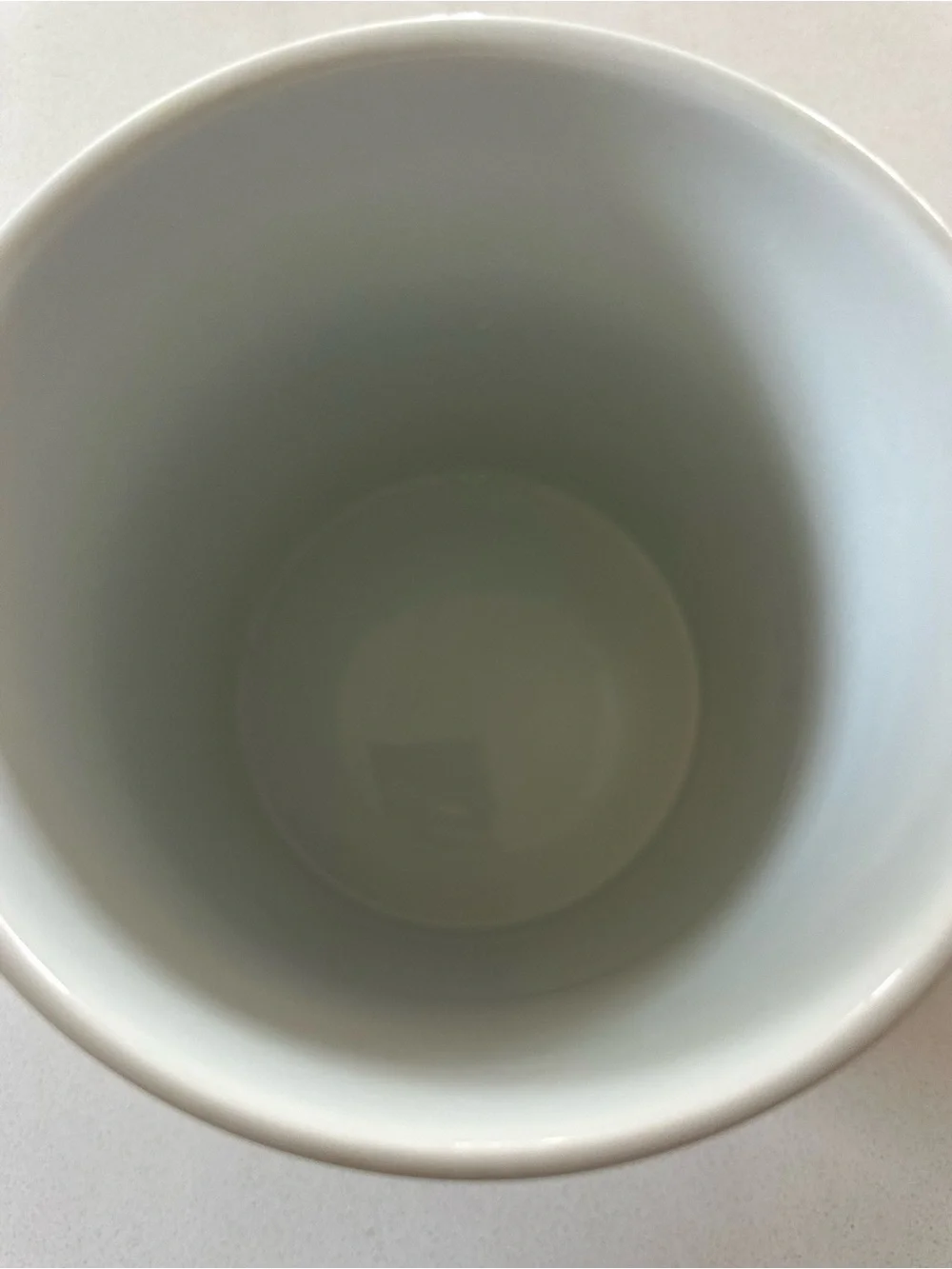crate & barrel Ceramic Dog Treat Jar